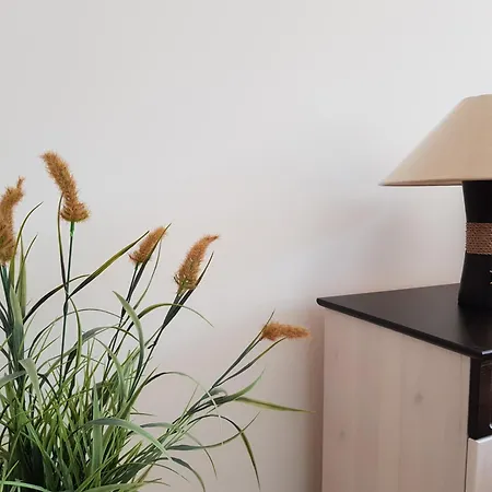 Daire Bickbeerenstrand Neuhaus (Mecklenburg-Vorpommern)