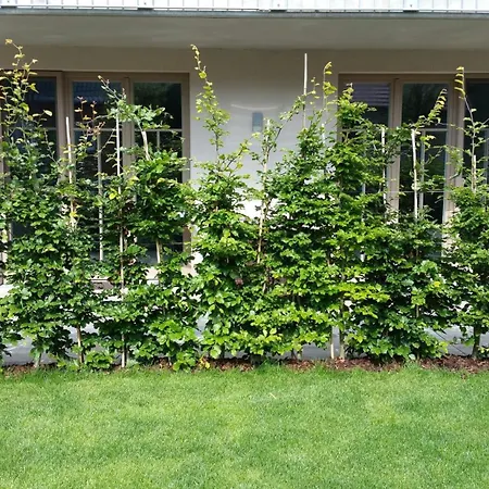 Bickbeerenstrand * Neuhaus (Mecklenburg-Vorpommern)